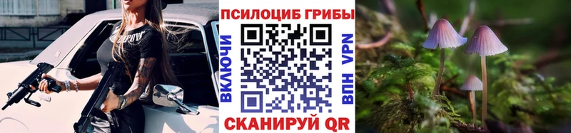 Купить где  Омутнинск  Галлюциногенные грибы мухоморы 